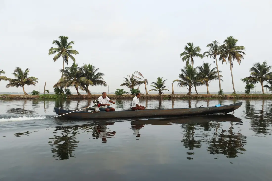 A canoe gliding through palm-lined backwaters
