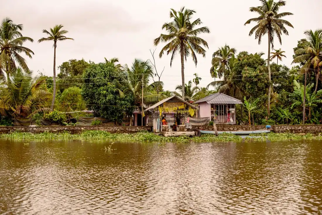 Backwaters and palm-lined shores of Kumarakom on Vembanad lake, Kerala